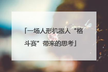 一场人形机器人“格斗赛”带来的思考