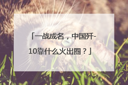 一战成名，中国歼-10靠什么火出圈？