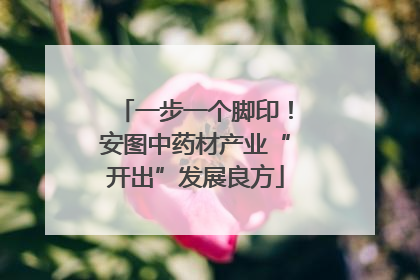 一步一个脚印！安图中药材产业“开出”发展良方