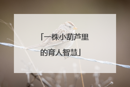 一株小葫芦里的育人智慧