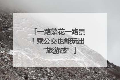 一路繁花一路景！乘公交也能玩出“旅游感”