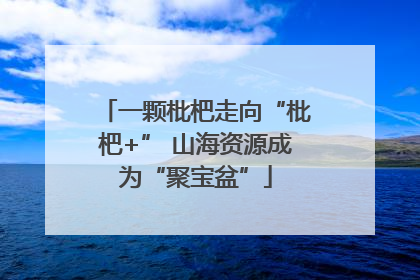 一颗枇杷走向“枇杷+” 山海资源成为“聚宝盆”