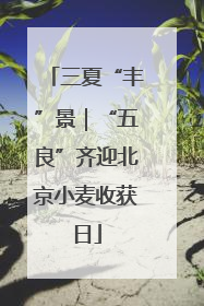 三夏“丰”景｜“五良”齐迎北京小麦收获日