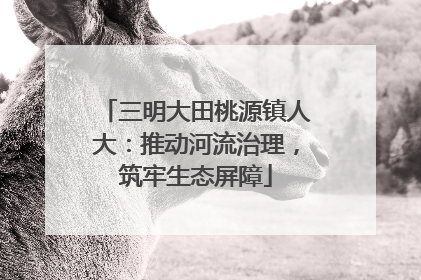 三明大田桃源镇人大：推动河流治理，筑牢生态屏障