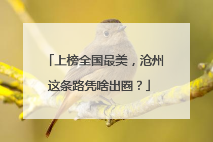 上榜全国最美，沧州这条路凭啥出圈？