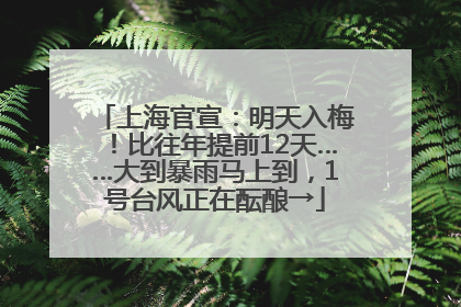 上海官宣：明天入梅！比往年提前12天……大到暴雨马上到，1号台风正在酝酿→