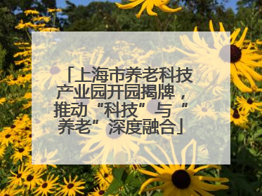 上海市养老科技产业园开园揭牌，推动“科技”与“养老”深度融合