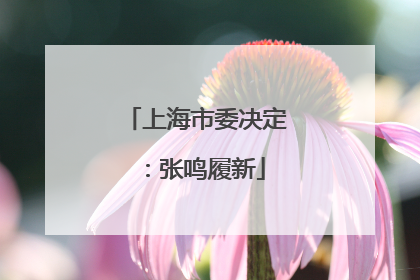 上海市委决定：张鸣履新