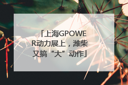 上海GPOWER动力展上，潍柴又搞“大”动作