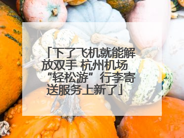 下了飞机就能解放双手 杭州机场“轻松游”行李寄送服务上新了