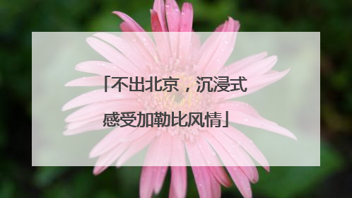 不出北京，沉浸式感受加勒比风情