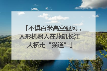 不惧百米高空强风，人形机器人在燕矶长江大桥走“猫道”