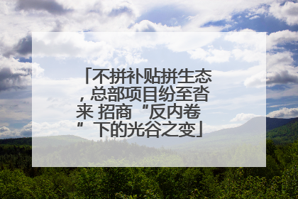 不拼补贴拼生态，总部项目纷至沓来 招商“反内卷”下的光谷之变