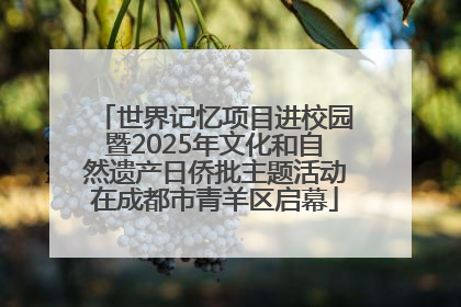 世界记忆项目进校园暨2025年文化和自然遗产日侨批主题活动在成都市青羊区启幕