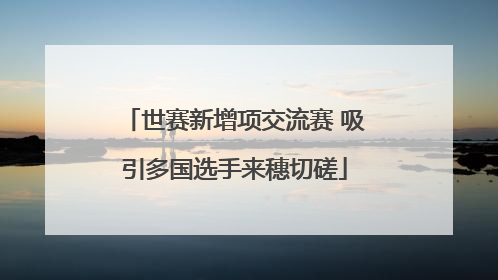 世赛新增项交流赛 吸引多国选手来穗切磋