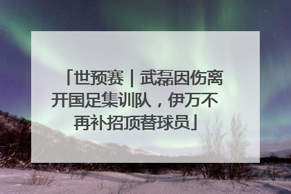 世预赛｜武磊因伤离开国足集训队，伊万不再补招顶替球员