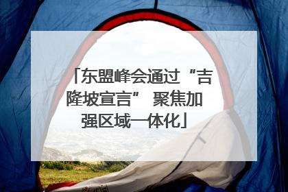 东盟峰会通过“吉隆坡宣言” 聚焦加强区域一体化