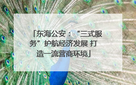 东海公安：“三式服务”护航经济发展 打造一流营商环境