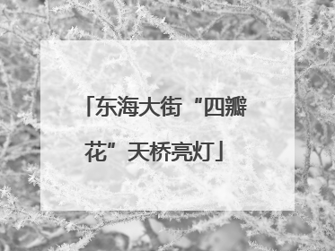 东海大街“四瓣花”天桥亮灯