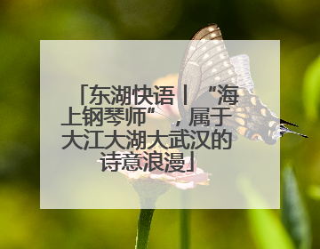 东湖快语丨“海上钢琴师”，属于大江大湖大武汉的诗意浪漫