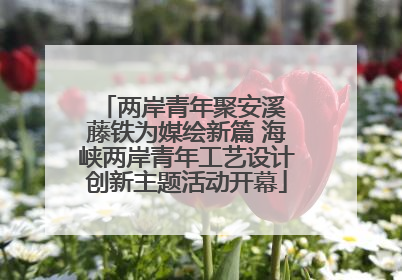 两岸青年聚安溪 藤铁为媒绘新篇 海峡两岸青年工艺设计创新主题活动开幕