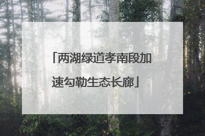 两湖绿道孝南段加速勾勒生态长廊