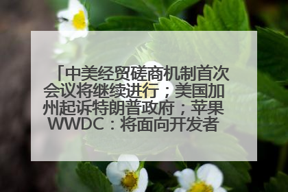中美经贸磋商机制首次会议将继续进行；美国加州起诉特朗普政府；苹果WWDC：将面向开发者推出苹果智能模型；中办、国办发文，事关民生丨每经早参