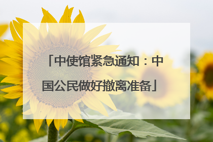 中使馆紧急通知：中国公民做好撤离准备