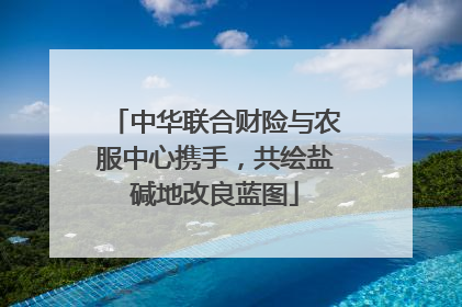 中华联合财险与农服中心携手，共绘盐碱地改良蓝图