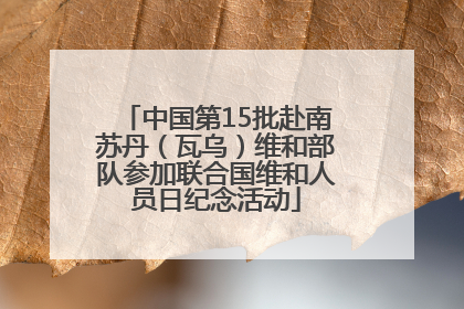 中国第15批赴南苏丹（瓦乌）维和部队参加联合国维和人员日纪念活动