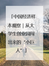 中国经济样本观察｜从大学生创业园闯出来的“小巨人”