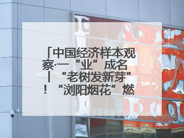 中国经济样本观察·一“业”成名丨“老树发新芽”！“浏阳烟花”燃亮世界