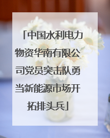 中国水利电力物资华南有限公司党员突击队勇当新能源市场开拓排头兵