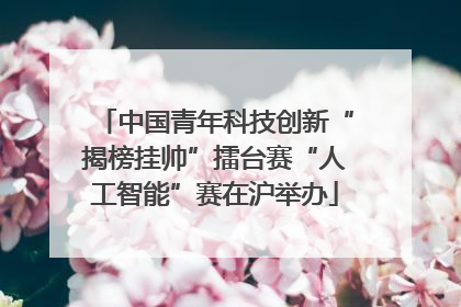 中国青年科技创新“揭榜挂帅”擂台赛“人工智能”赛在沪举办