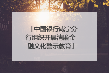 中国银行咸宁分行组织开展清廉金融文化警示教育