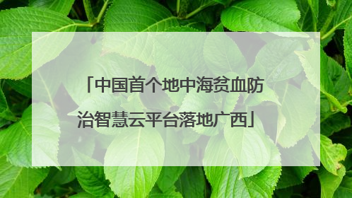 中国首个地中海贫血防治智慧云平台落地广西