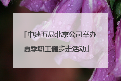 中建五局北京公司举办夏季职工健步走活动