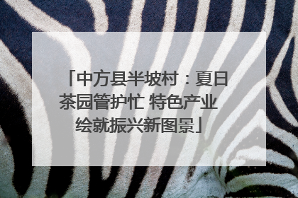 中方县半坡村：夏日茶园管护忙 特色产业绘就振兴新图景