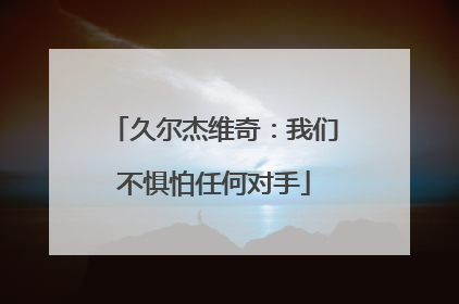 久尔杰维奇：我们不惧怕任何对手