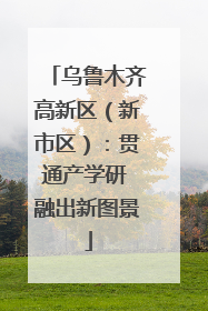 乌鲁木齐高新区（新市区）：贯通产学研 融出新图景