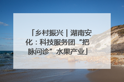 乡村振兴｜湖南安化：科技服务团“把脉问诊”水果产业