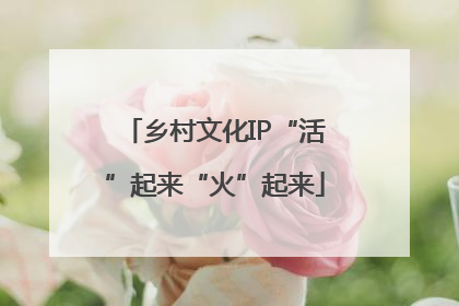 乡村文化IP“活”起来“火”起来