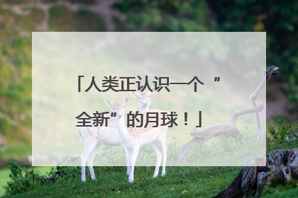人类正认识一个“全新”的月球！