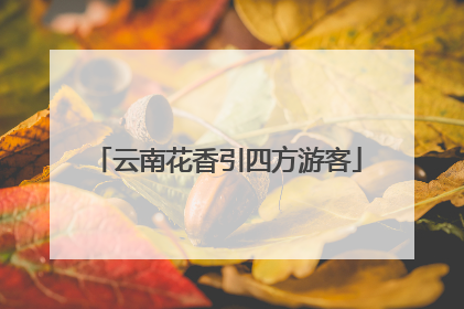 云南花香引四方游客