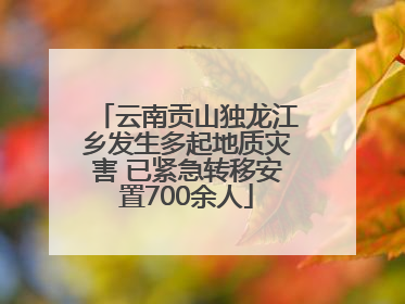云南贡山独龙江乡发生多起地质灾害 已紧急转移安置700余人
