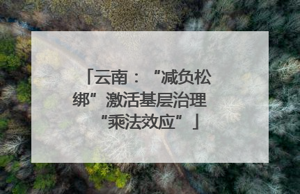 云南：“减负松绑”激活基层治理“乘法效应”