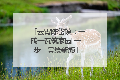 云霄陈岱镇：一砖一瓦筑家园 一步一景绘新颜