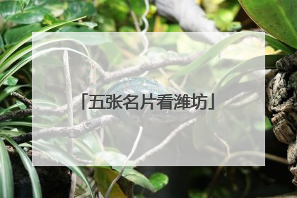 五张名片看潍坊