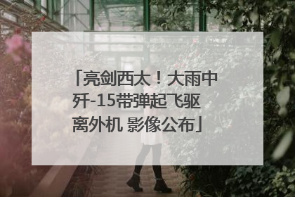 亮剑西太！大雨中歼-15带弹起飞驱离外机 影像公布