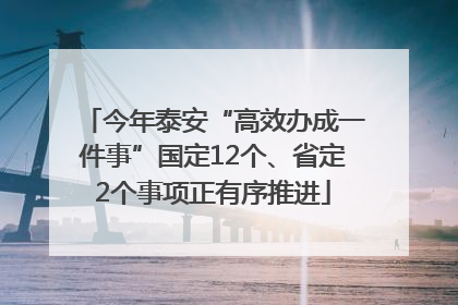 今年泰安“高效办成一件事”国定12个、省定2个事项正有序推进